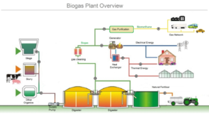 An overview of anaerobic digestion at a biogas plant.